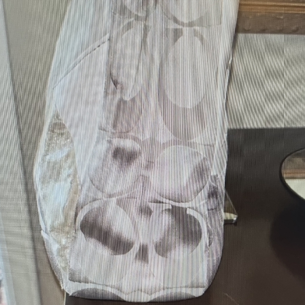 Coach Patchwork Shoulder Bag - image 5